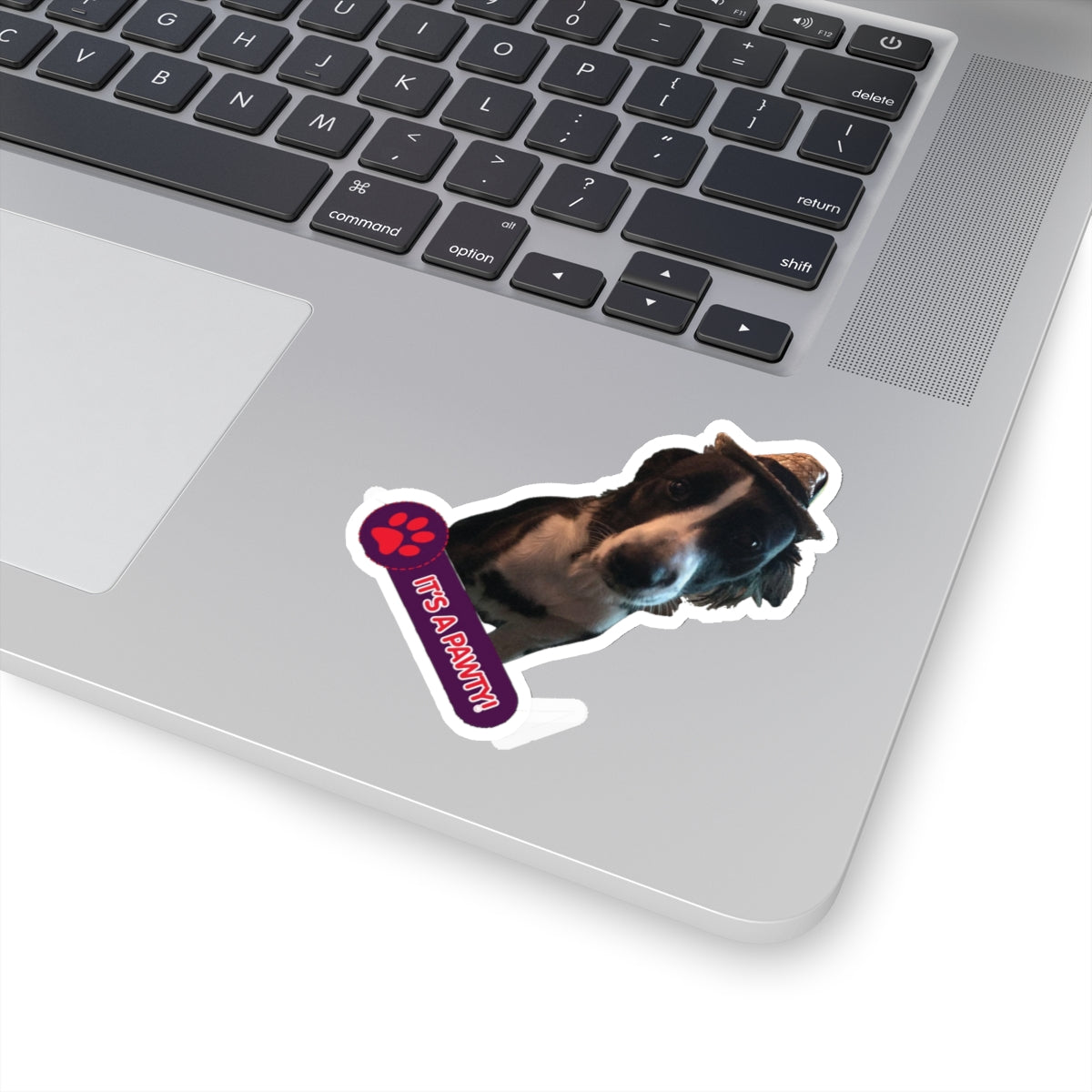 113-0143145-3525853_33_6-removebg-preview