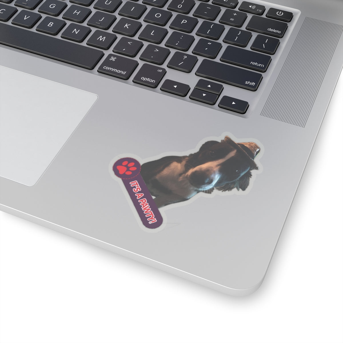 113-0143145-3525853_33_6-removebg-preview