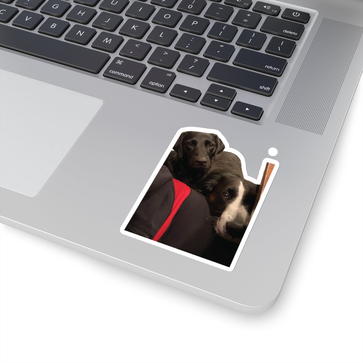 113-0143145-3525853_33_7-removebg-preview
