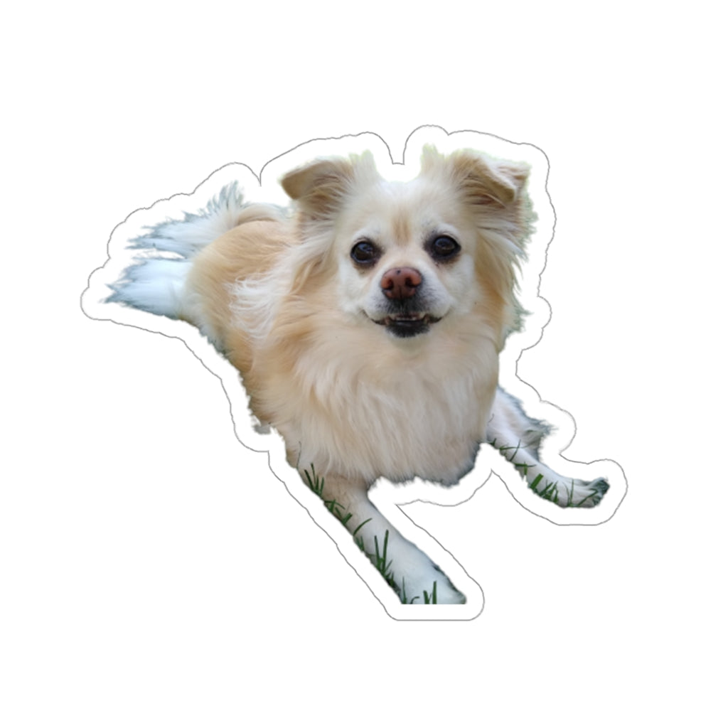 Copy of Copy of Copy of Copy of Copy of Copy of Kiss-Cut Stickers 114-4855535-9516209