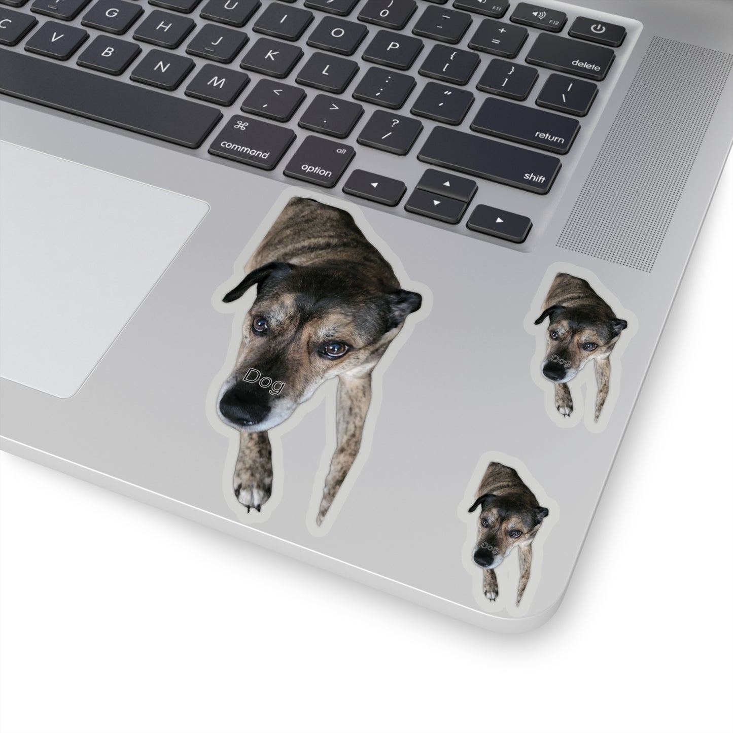 113-0705746-0449019_2x2-removebg-preview
