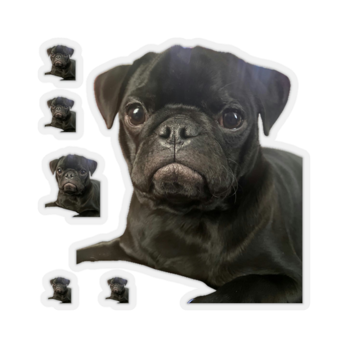 111-3278066-4671412_22_1-removebg-preview