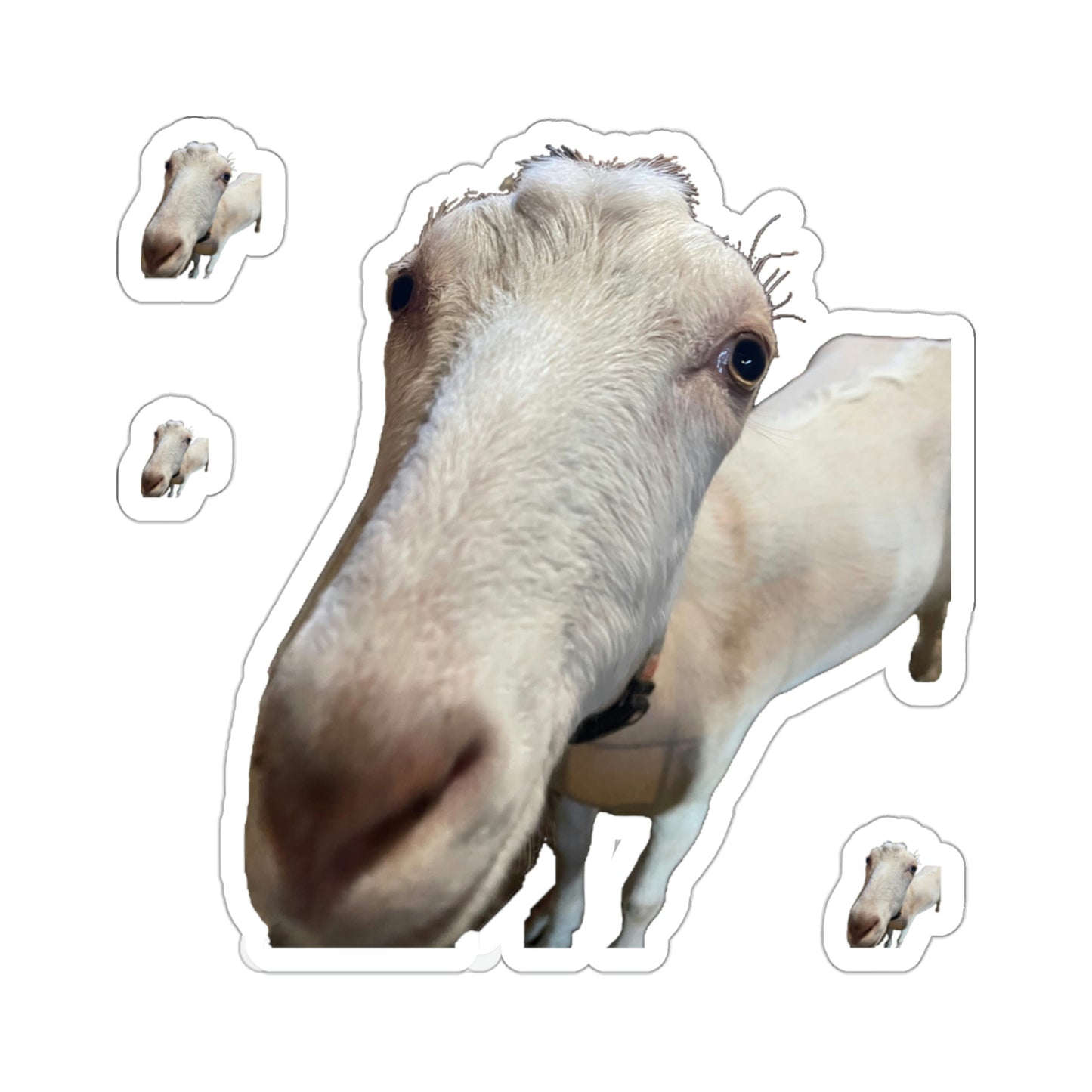 112-5679649-6061866_3x3-removebg-preview