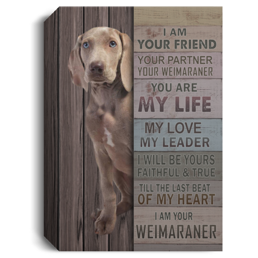 I Am Your Friend Your Partner Your Weimaraner Gallery Wrapped Framed Canvas Prints – Gift Family Unisex Awesome On Birthday, Decor Home Durable 8x12 CANPO15 Deluxe Portrait Canvas 1.5in Frame