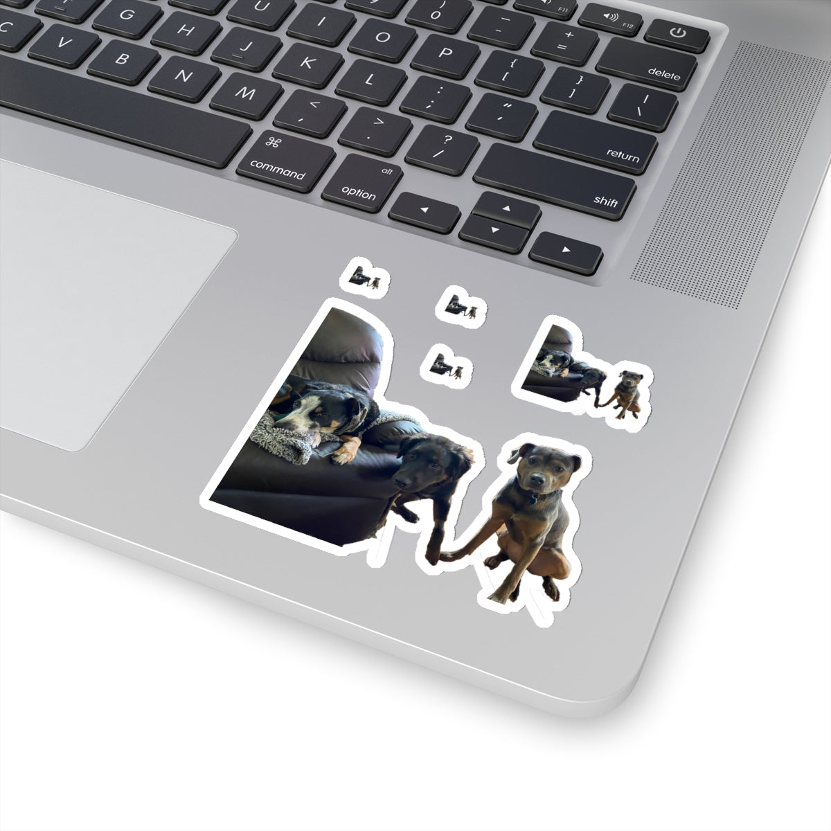 113-0775166-6404207_3x3-removebg-preview