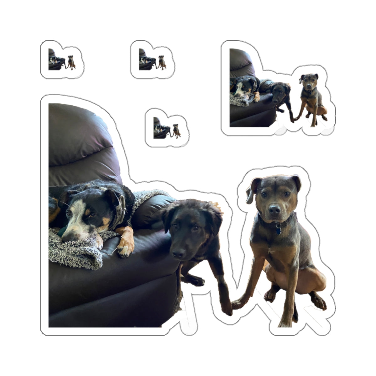 113-0775166-6404207_3x3-removebg-preview