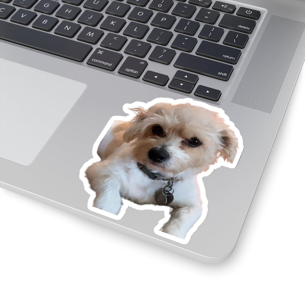 Kiss-Cut Stickers stickerbanthoattoi_2412_3 112-2903273-1761058