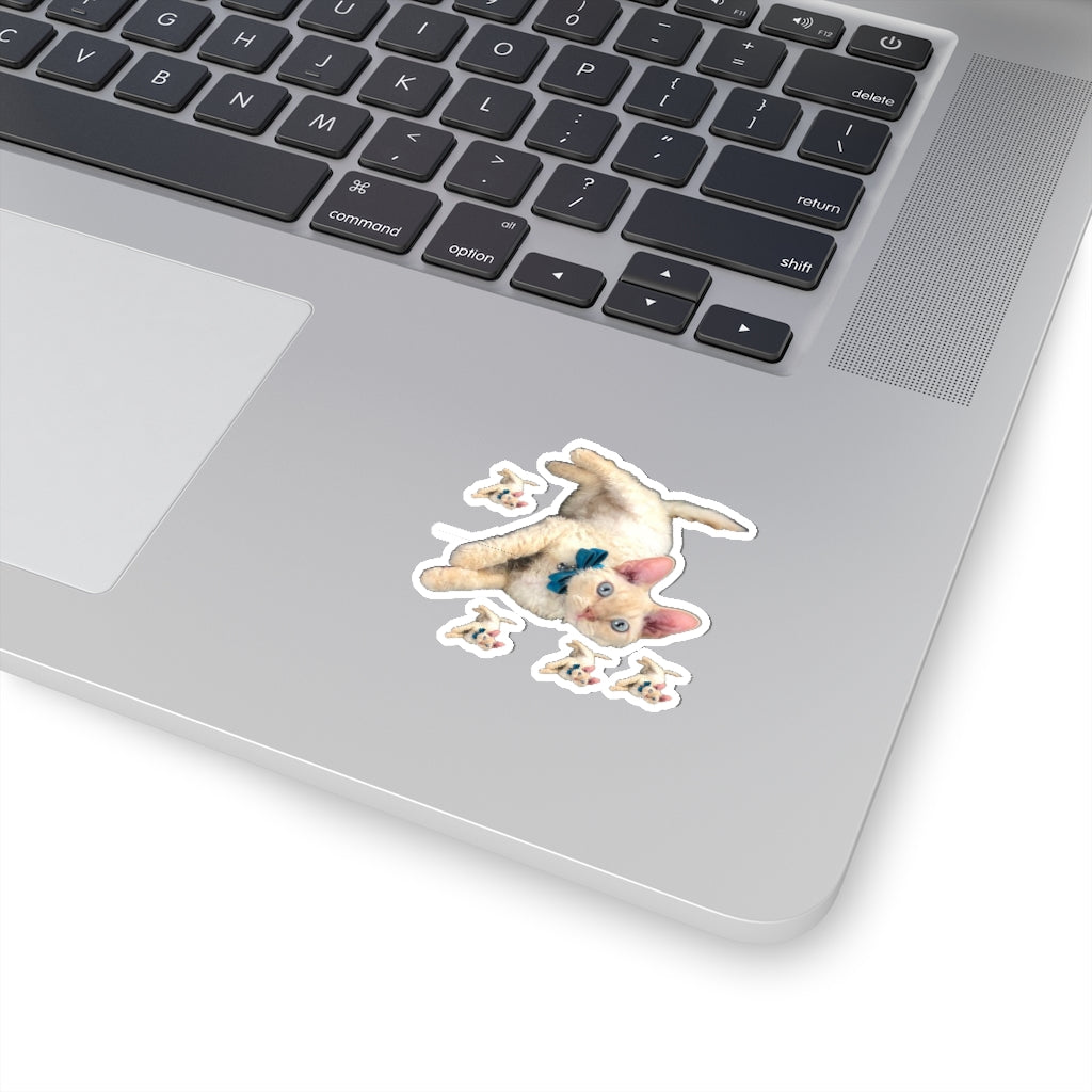 Kiss-Cut Stickers 113-8668080-6123457