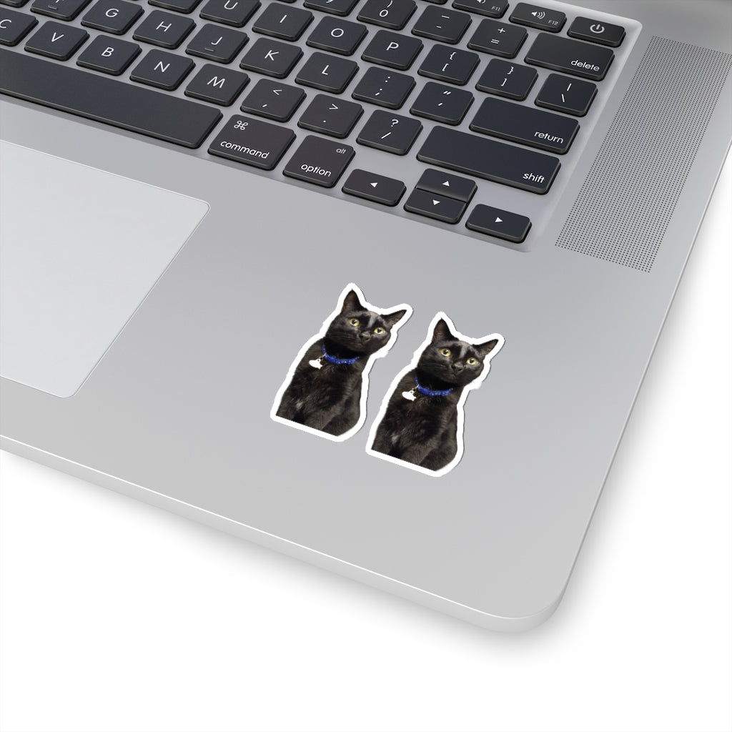 Kiss-Cut Stickers  114-4855535-9516209