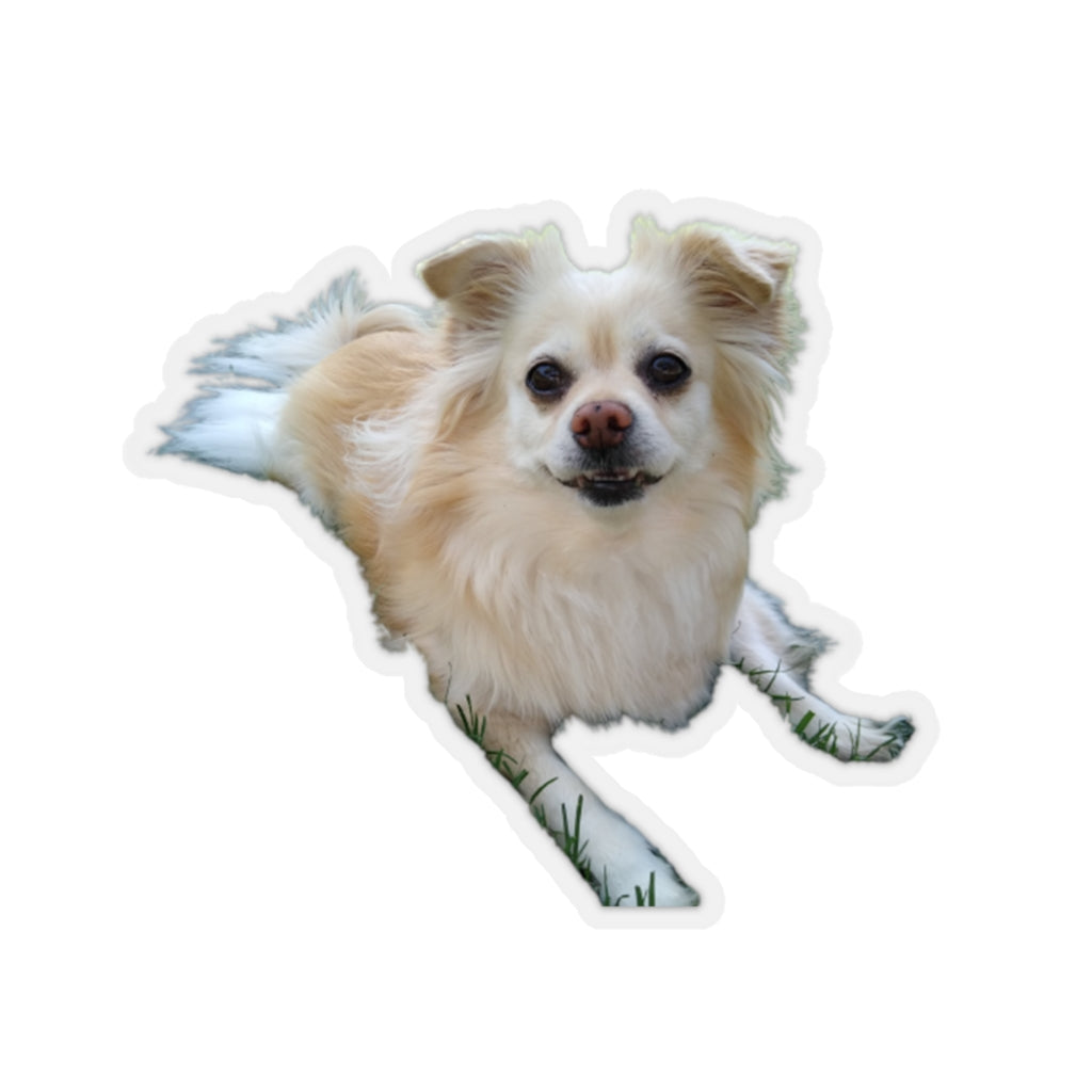 Copy of Copy of Copy of Copy of Copy of Copy of Kiss-Cut Stickers 114-4855535-9516209