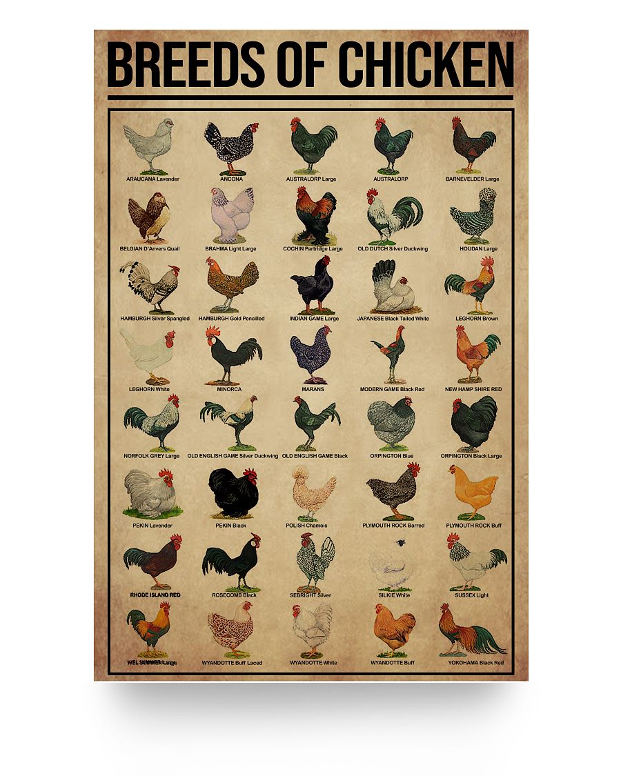 eac5b3b80ff8254d88654074a5e6ce075722574900b71fdeded887ac0200b9f9