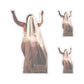 114-4675823-1892233_33-removebg-preview