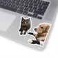 112-8848994-6809046_33-removebg-preview