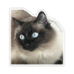 111-7873045-0052243_33_ch-removebg-preview