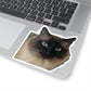 111-8790964-2070642_33_ch-removebg-preview