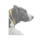 113-0143145-3525853_33_2-removebg-preview