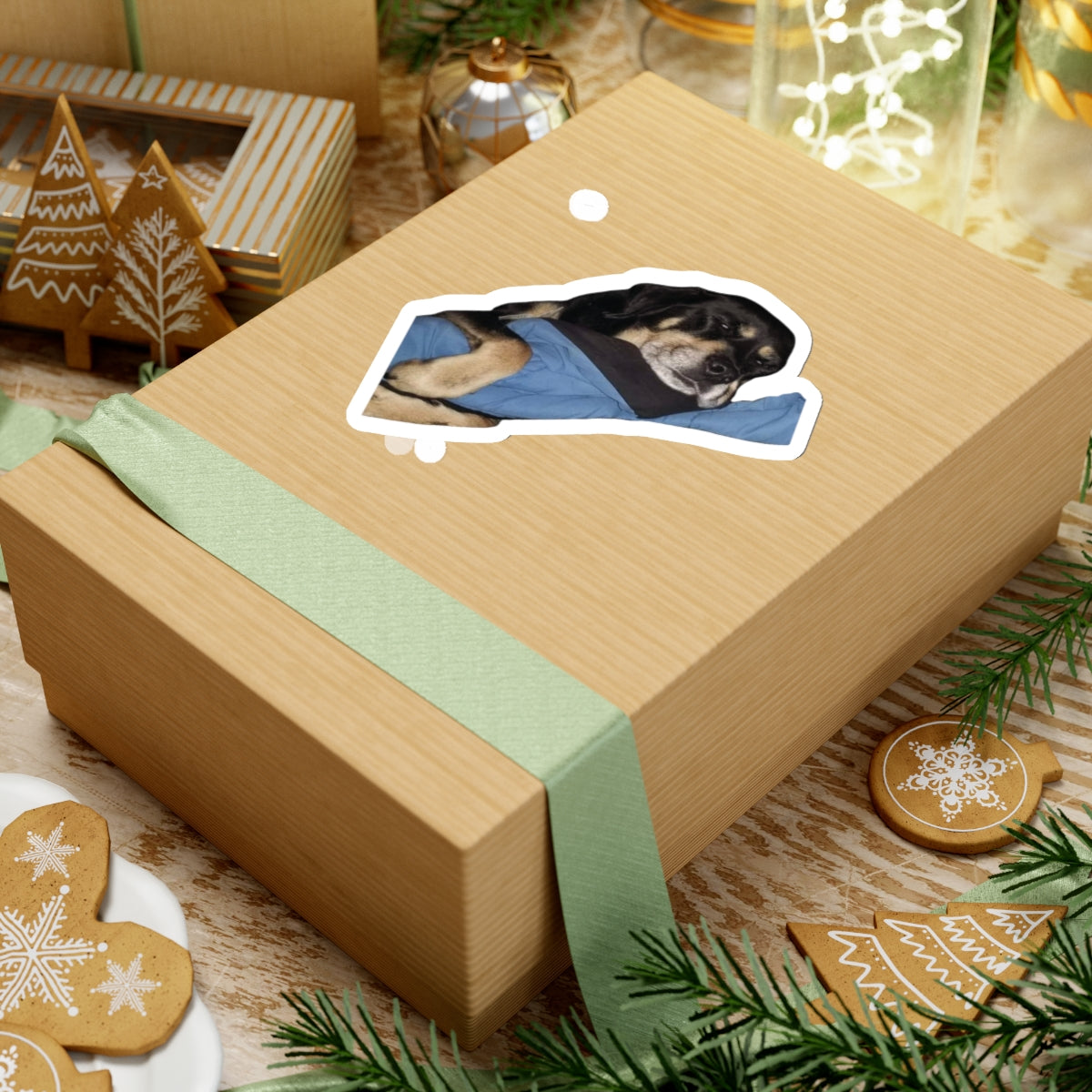 111-2619861-9322606_44-removebg-preview