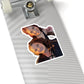 114-5005608-2574645_22-removebg-preview