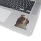 45f126c7-17f2-42d3-8f28-d68a3f68984f-removebg-preview