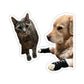112-8848994-6809046_33-removebg-preview