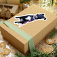 114-3458927-7803427_33-removebg-preview