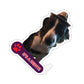 113-0143145-3525853_33_6-removebg-preview