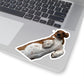 112-5373992-8009032_44-removebg-preview