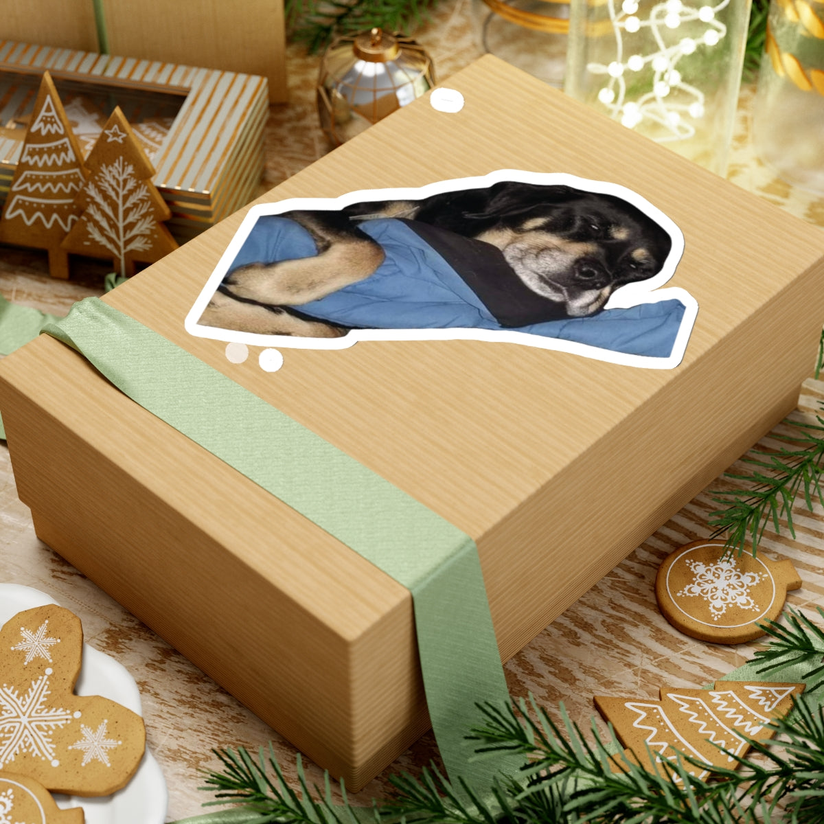111-2619861-9322606_44-removebg-preview