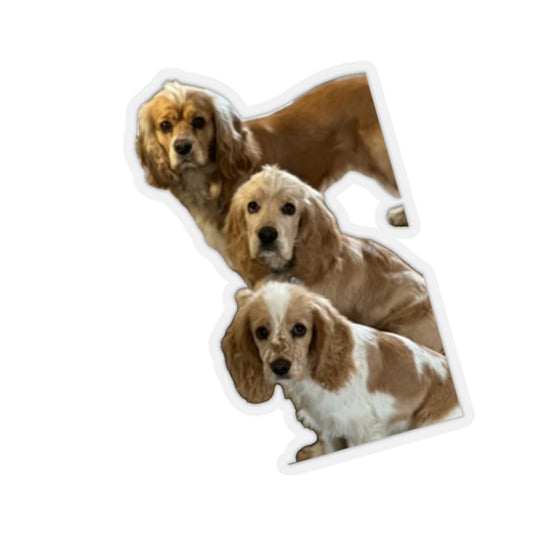 114-0252459-4756205_22-removebg-preview