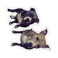 114-4457721-7209061_33_2-removebg-preview