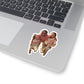 111-2564411-1804264_33-removebg-preview