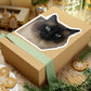 111-8790964-2070642_33_ch-removebg-preview