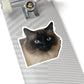 111-8790964-2070642_33_ch-removebg-preview