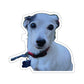 113-0143145-3525853_33_1-removebg-preview