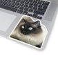 111-7873045-0052243_33_ch-removebg-preview
