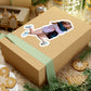 113-8808358-0503452_33_1-removebg-preview
