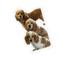 114-0252459-4756205_22-removebg-preview