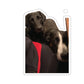 113-0143145-3525853_33_7-removebg-preview