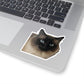 111-8790964-2070642_33_ch-removebg-preview