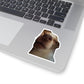 45f126c7-17f2-42d3-8f28-d68a3f68984f-removebg-preview