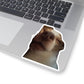 45f126c7-17f2-42d3-8f28-d68a3f68984f-removebg-preview