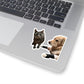 112-8848994-6809046_33-removebg-preview