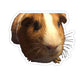 114-6998643-0536263_22_2-removebg-preview