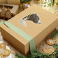 113-0143145-3525853_33_2-removebg-preview