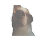 45f126c7-17f2-42d3-8f28-d68a3f68984f-removebg-preview