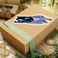 112-8026613-7900202_66-removebg-preview