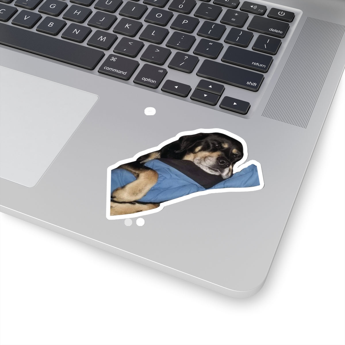 111-2619861-9322606_44-removebg-preview