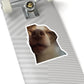 45f126c7-17f2-42d3-8f28-d68a3f68984f-removebg-preview