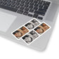 111-9550644-0086626_33_1-removebg-preview