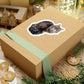 112-2152925-8224201_44_1-removebg-preview